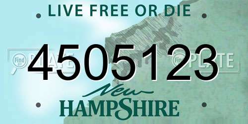 4505123 New Hampshire License Plate