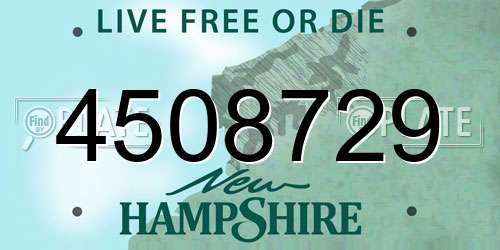 4508729 New Hampshire License Plate