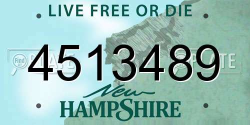 4513489 New Hampshire License Plate