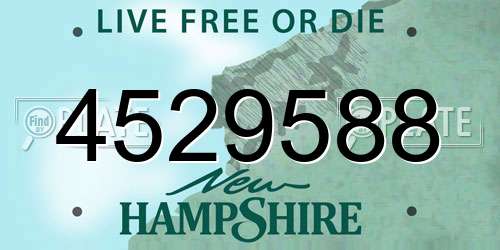 4529588 New Hampshire License Plate