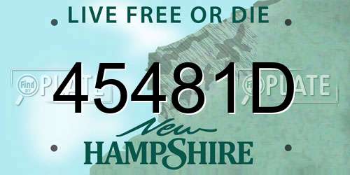 45481D New Hampshire License Plate
