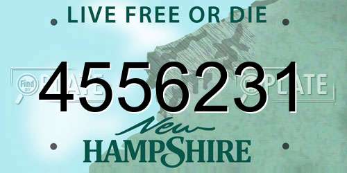 4556231 New Hampshire License Plate
