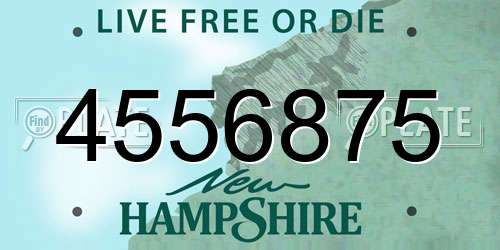 4556875 New Hampshire License Plate