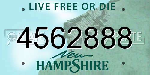 4562888 New Hampshire License Plate
