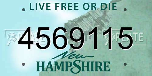 4569115 New Hampshire License Plate