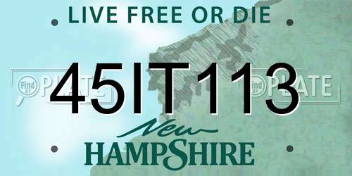 45IT113 New Hampshire License Plate