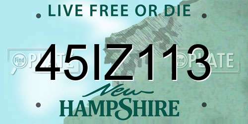 45IZ113 New Hampshire License Plate
