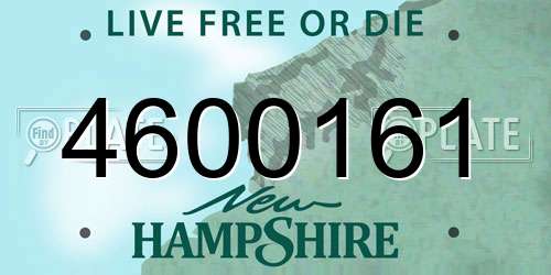 4600161 New Hampshire License Plate