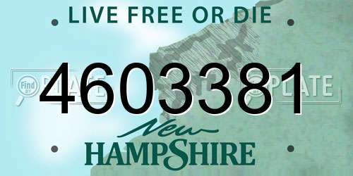 4603381 New Hampshire License Plate