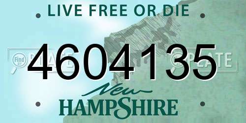 4604135 New Hampshire License Plate
