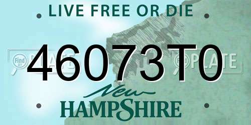 46073T0 New Hampshire License Plate