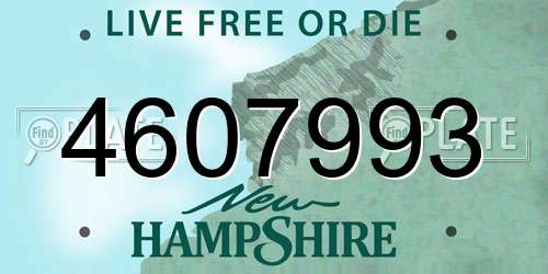 4607993 New Hampshire License Plate