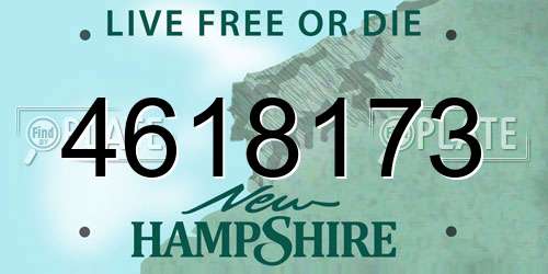 4618173 New Hampshire License Plate