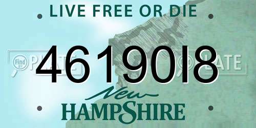46190I8 New Hampshire License Plate