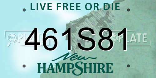 461S81 New Hampshire License Plate