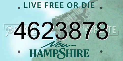 4623878 New Hampshire License Plate
