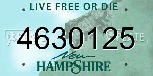 4630125 New Hampshire License Plate