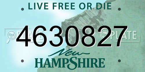 4630827 New Hampshire License Plate