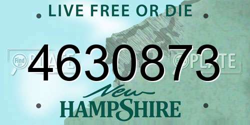 4630873 New Hampshire License Plate