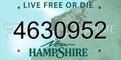 4630952 New Hampshire License Plate
