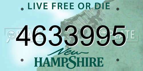 4633995 New Hampshire License Plate
