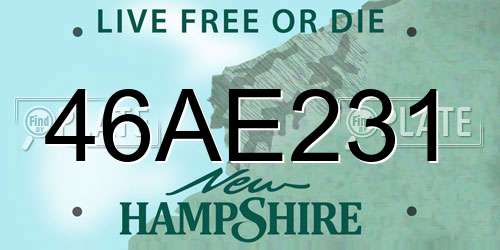46AE231 New Hampshire License Plate