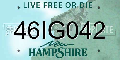 46IG042 New Hampshire License Plate