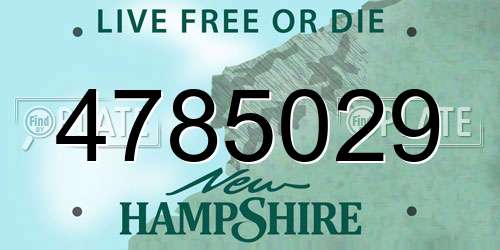 4785029 New Hampshire License Plate