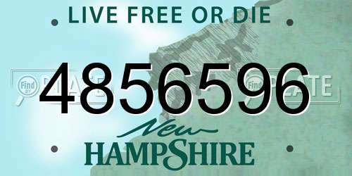4856596 New Hampshire License Plate
