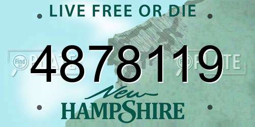 4878119 New Hampshire License Plate