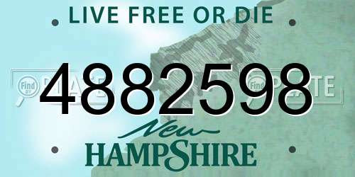 4882598 New Hampshire License Plate