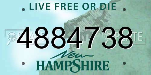 4884738 New Hampshire License Plate