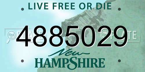 4885029 New Hampshire License Plate