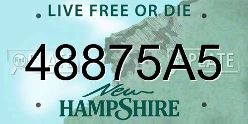 48875A5 New Hampshire License Plate