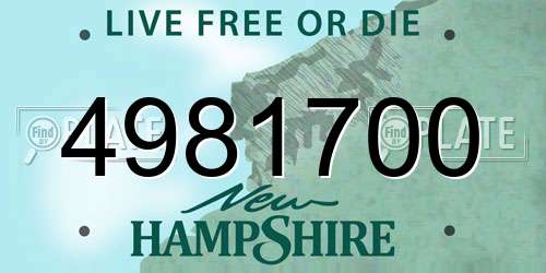 4981700 New Hampshire License Plate