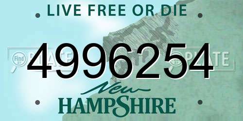 4996254 New Hampshire License Plate
