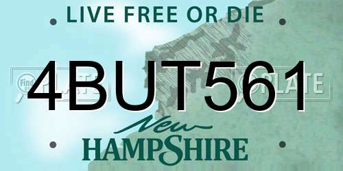 4BUT561 New Hampshire License Plate