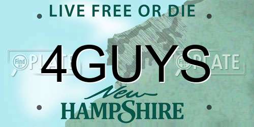 4GUYS New Hampshire License Plate