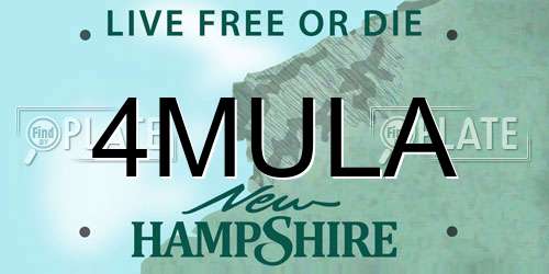 4MULA New Hampshire License Plate