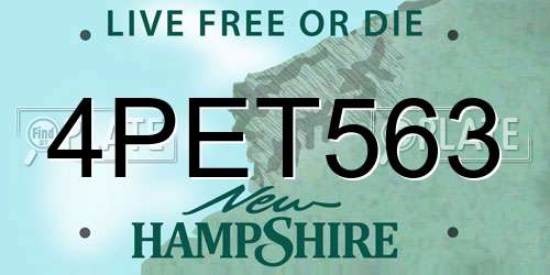 4PET563 New Hampshire License Plate
