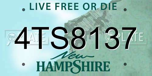 4TS8137 New Hampshire License Plate