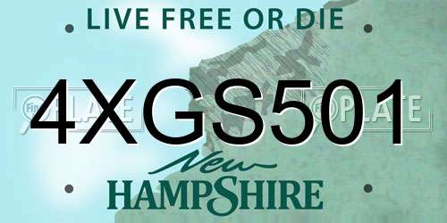 4XGS501 New Hampshire License Plate