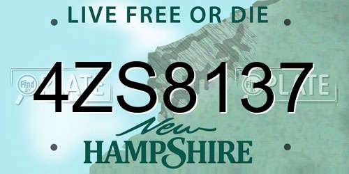 4ZS8137 New Hampshire License Plate