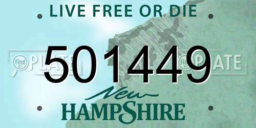 501449 New Hampshire License Plate