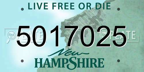 5017025 New Hampshire License Plate