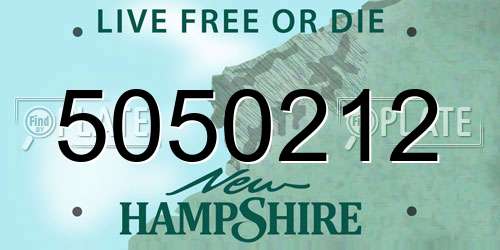 5050212 New Hampshire License Plate
