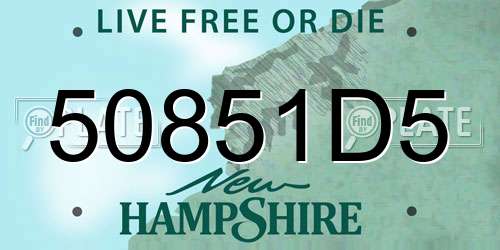 50851D5 New Hampshire License Plate