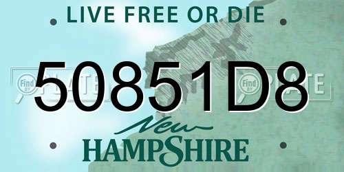 50851D8 New Hampshire License Plate