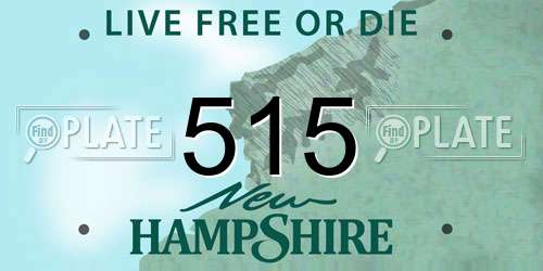 515 New Hampshire License Plate