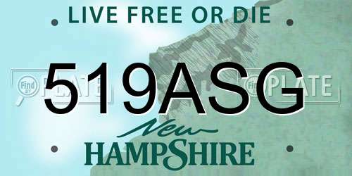 519ASG New Hampshire License Plate